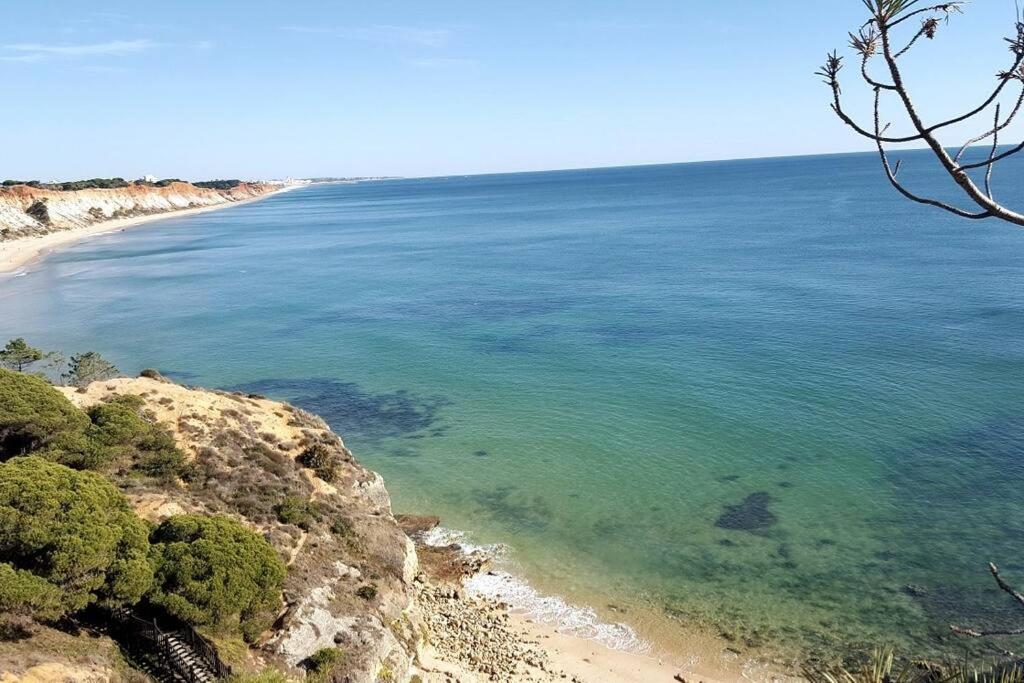 Magnifique Duplex Avec Piscine En Bord De Mer Daire Olhos de Agua  Dış mekan fotoğraf